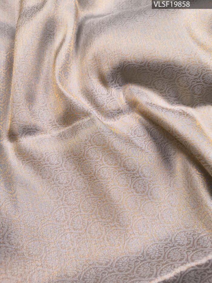 Pastel Coloured Fancy Silk Saree with Artistic Motifs and Elegant Zari Border - Image 4