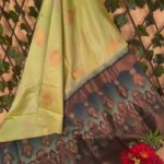 Light Green Semi Soft Silk Saree with Brown and Blue Border and Floral Motifs