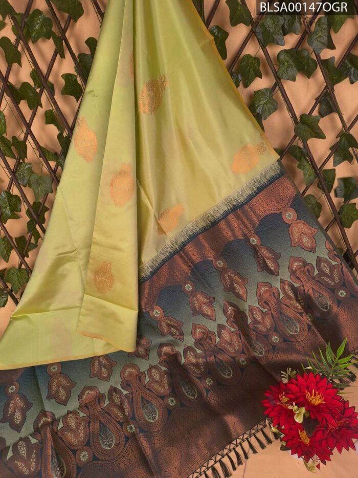 BLSA00147_MAIN_OGR-1.jpg Light Green Semi Soft Silk Saree with Brown and Blue Border and Floral Motifs - Image 1